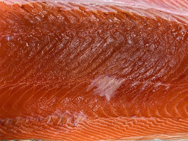 Poke Austin Salmon